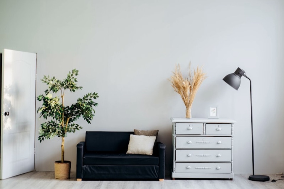 A white room with a black loveseat, a plant, a white door and a chest of drawers